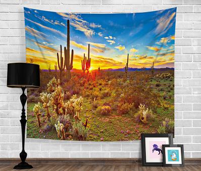 Springtime Desert Tapestry